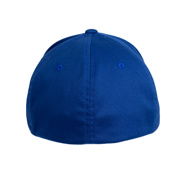 ZipZapPOWER Hat Royal Blue Back