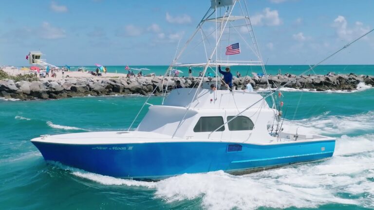 Read more about the article Haulover Deep Fishing Charters