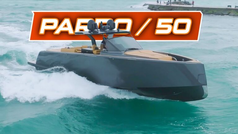 Read more about the article Pardo 50