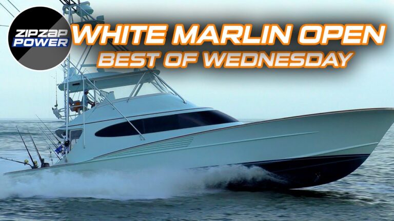 Read more about the article Sport Fishing Boats at White Marlin Open