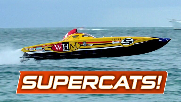 Read more about the article FASTEST and LOUDEST Supercats!!!