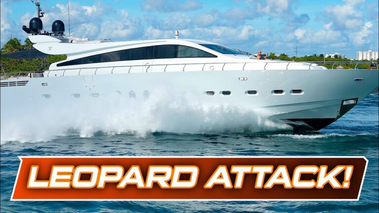 Read more about the article Thrilling Run: Leopard Yachts Dash Through Haulover Inlet!