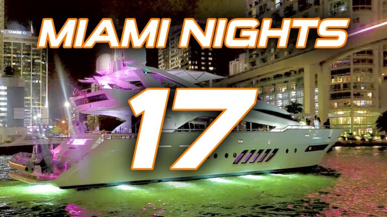 Read more about the article Miami Nights 17